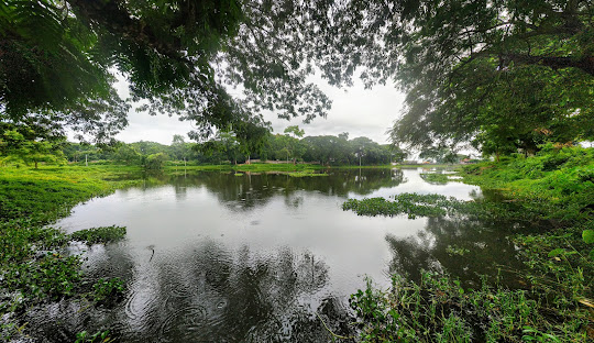 Description of image 9
